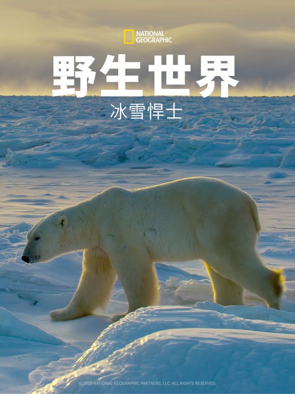 野生世界：冰雪悍士