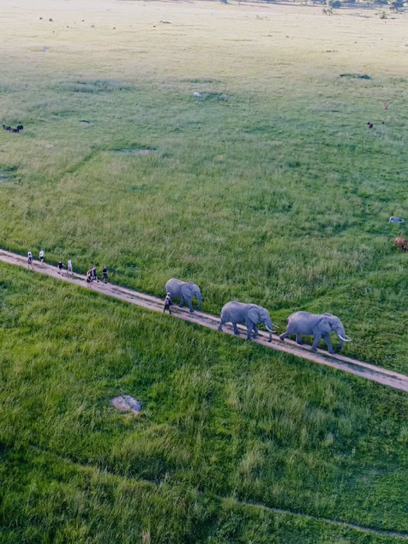 大自然的守护者