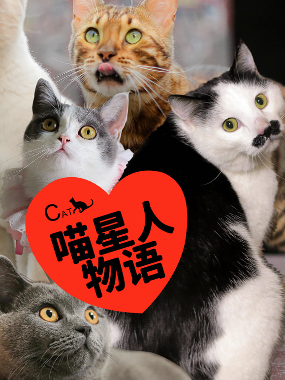 喵星人物语