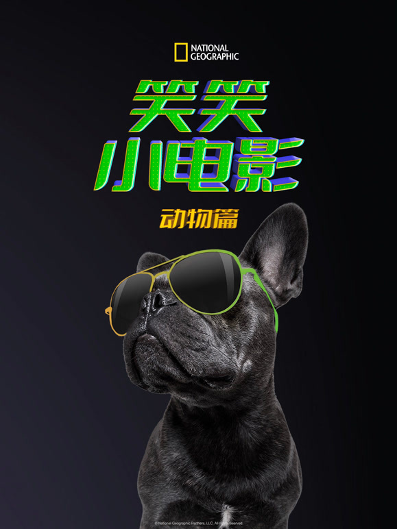 笑笑小电影：动物篇