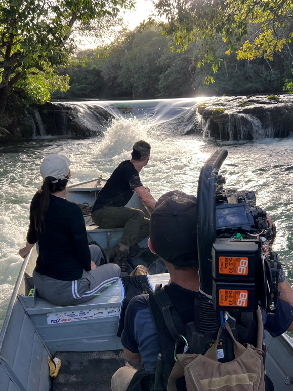 巨兽的进化法则