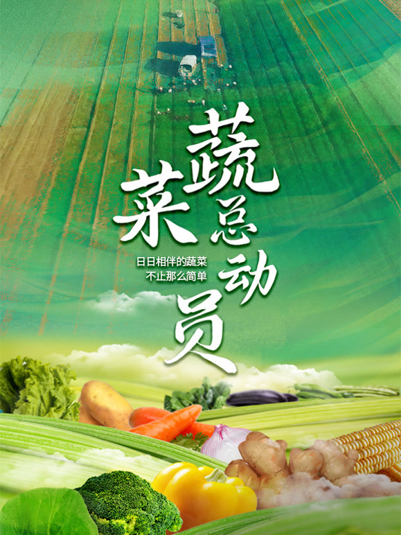 蔬菜总动员