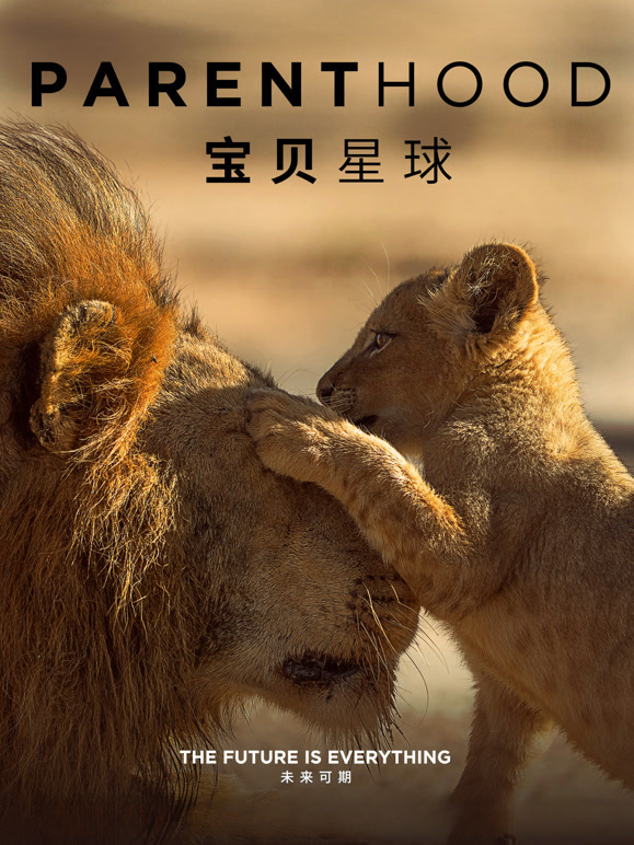 宝贝星球