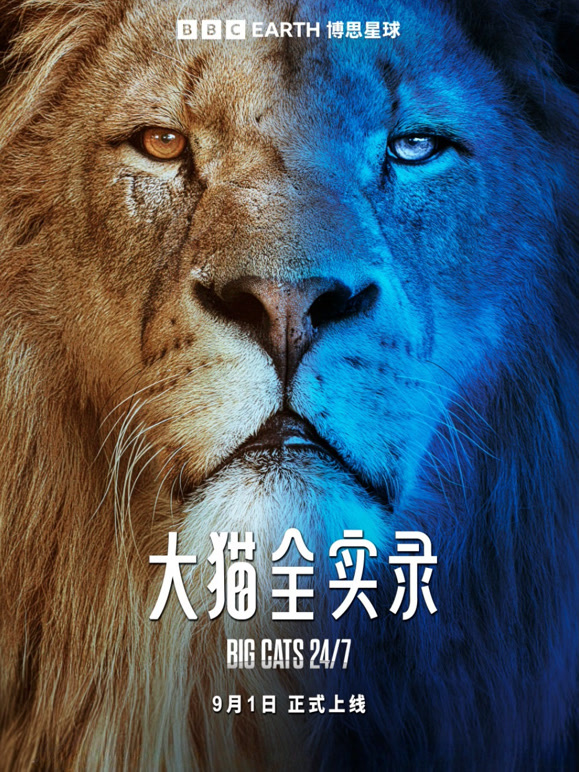 大猫全实录 中文版